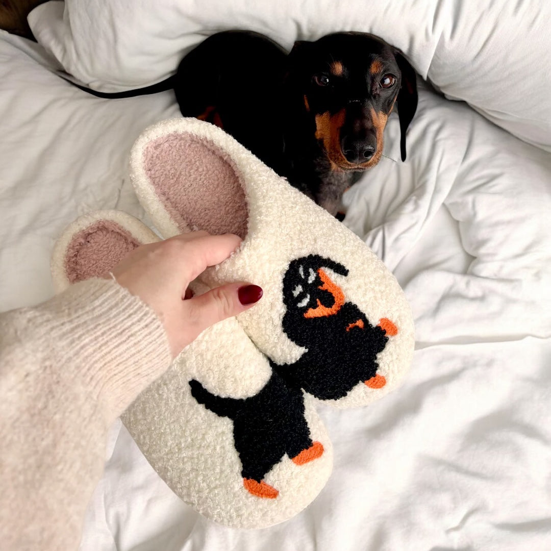 Dachshund Slip-on Slippers - Main Image
