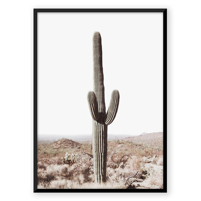 Saguaro Cactus - Nordic Peace