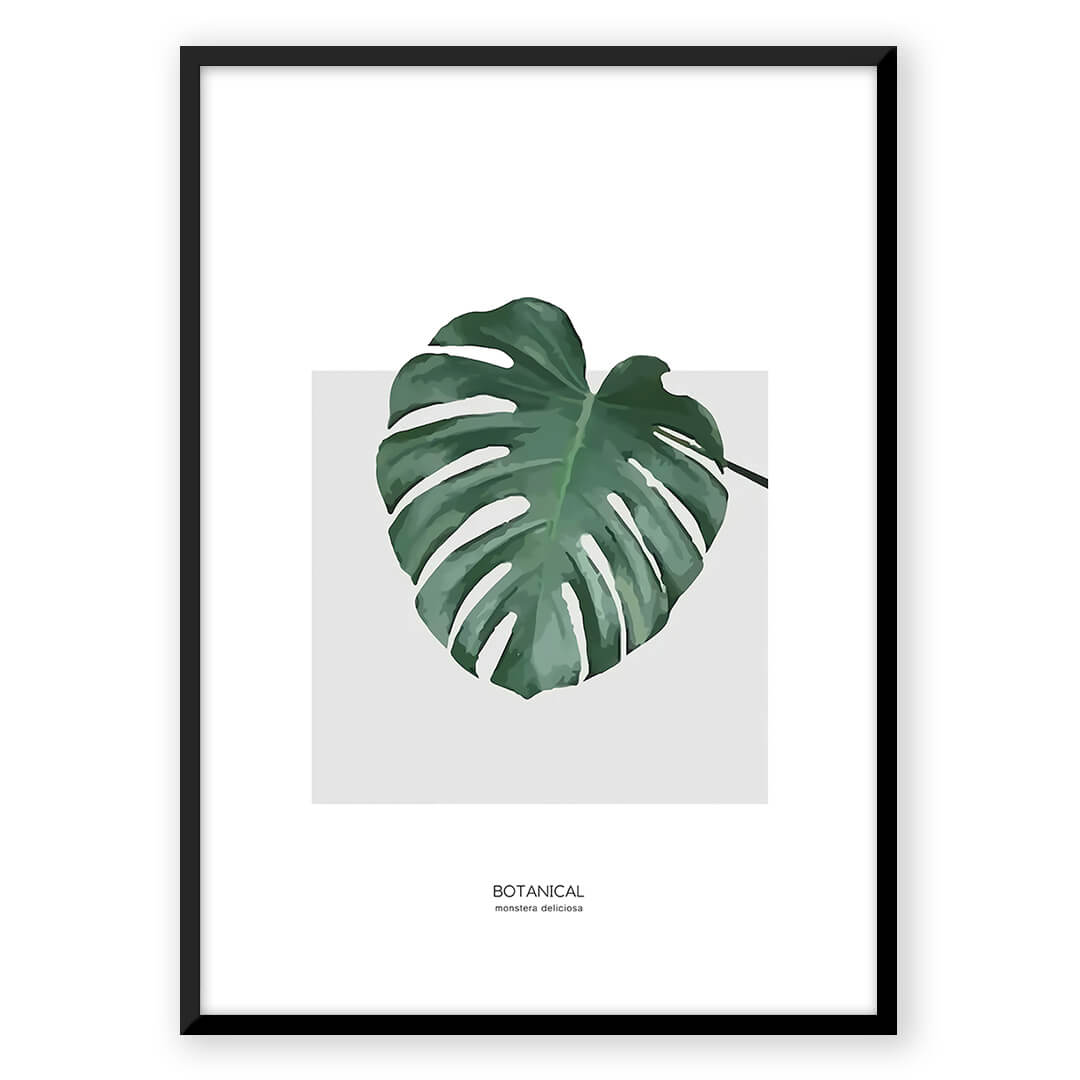 monstera deliciosa botanical print Monstera
