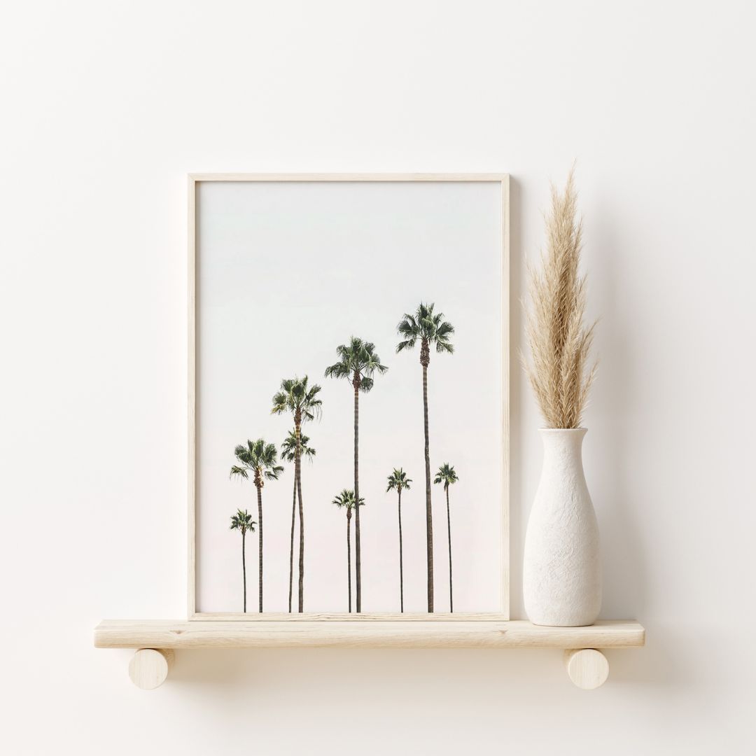 Palm Trees