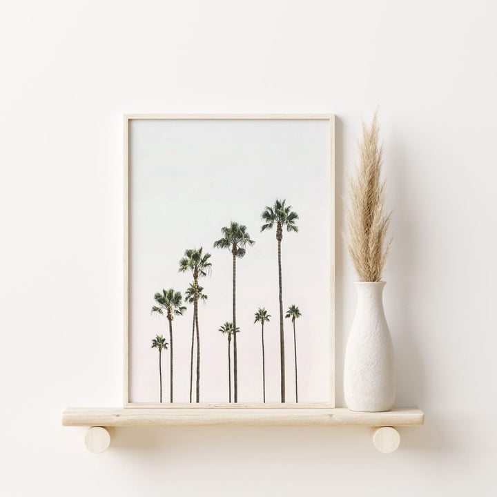 Palm Trees