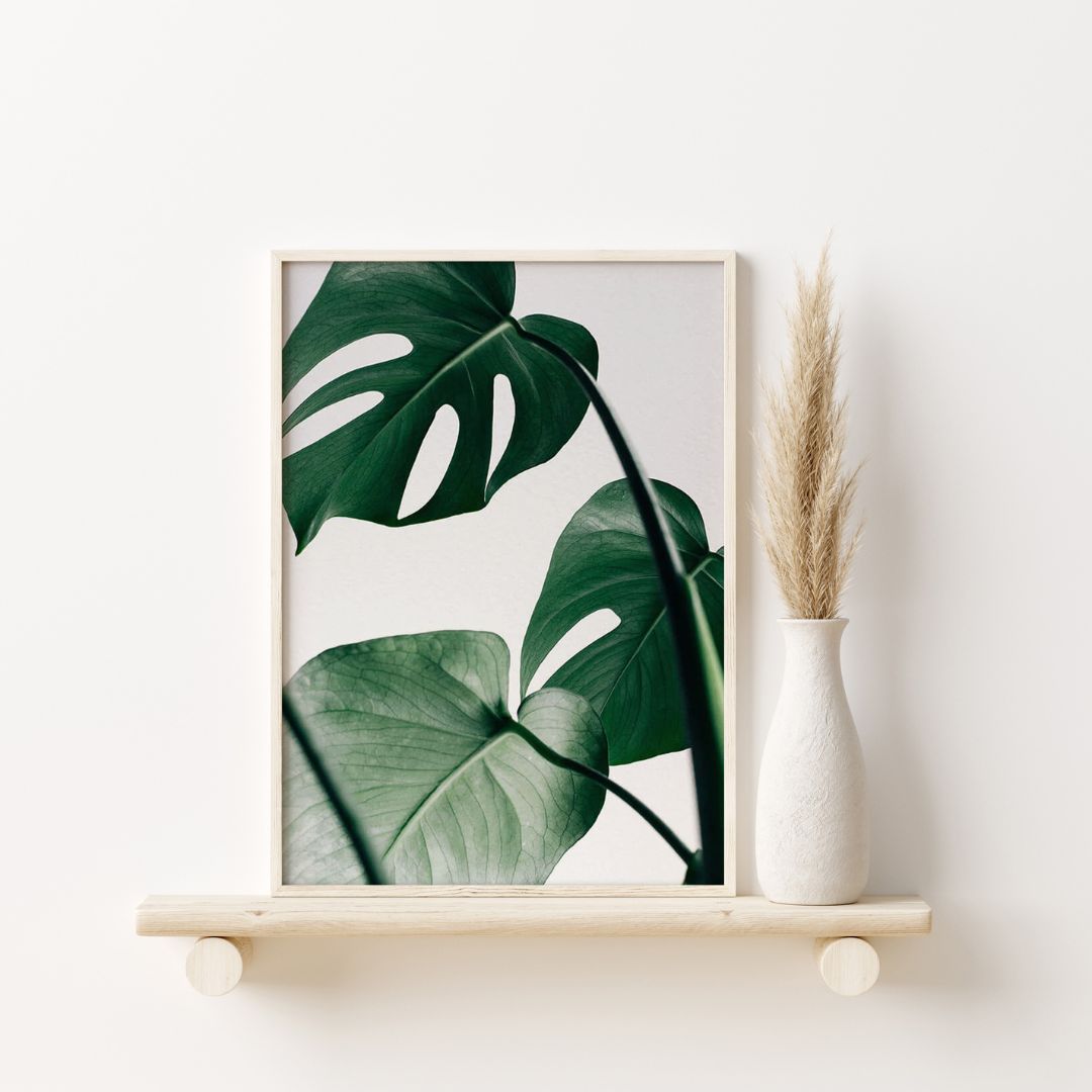 Tropical Monstera