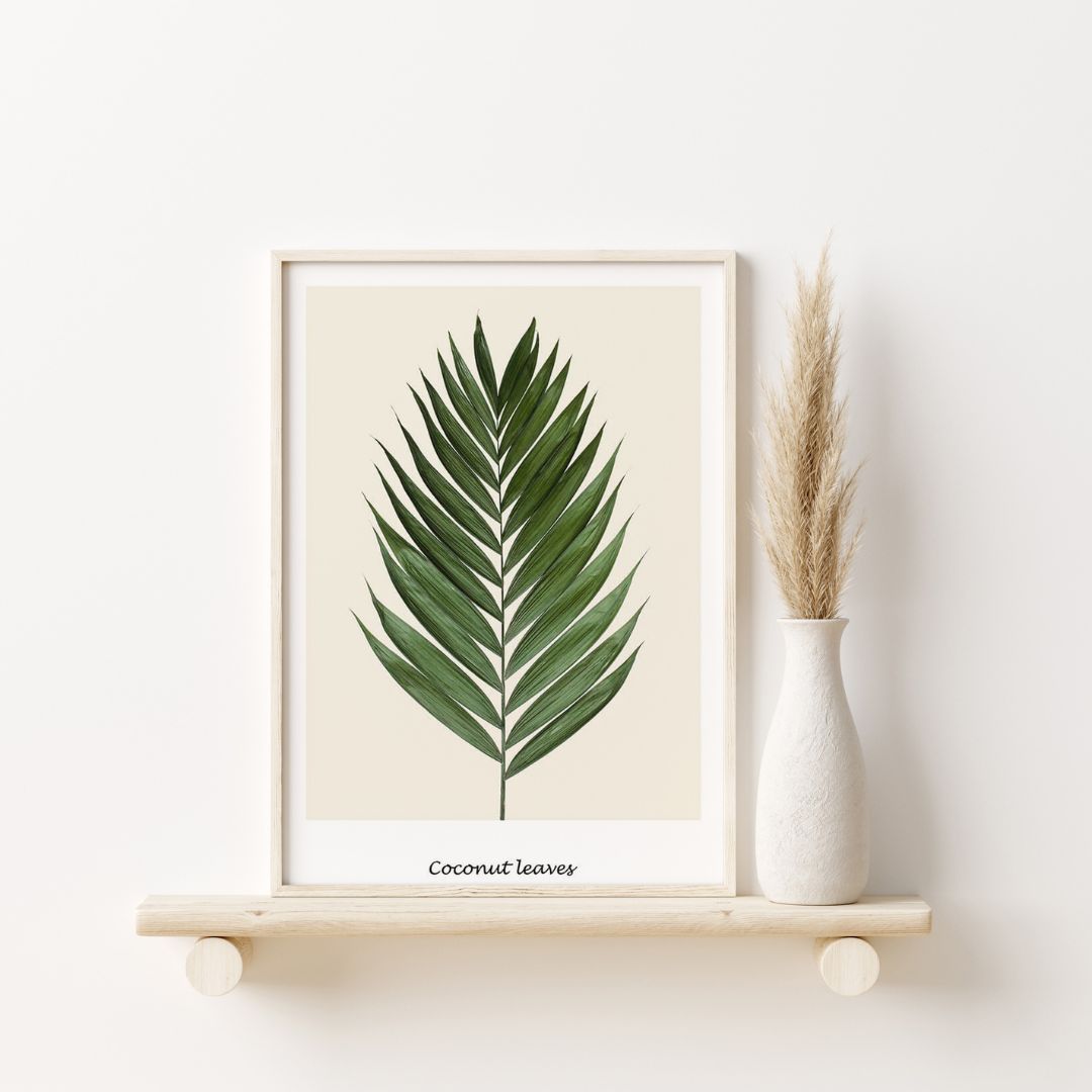 Coconut Leaves