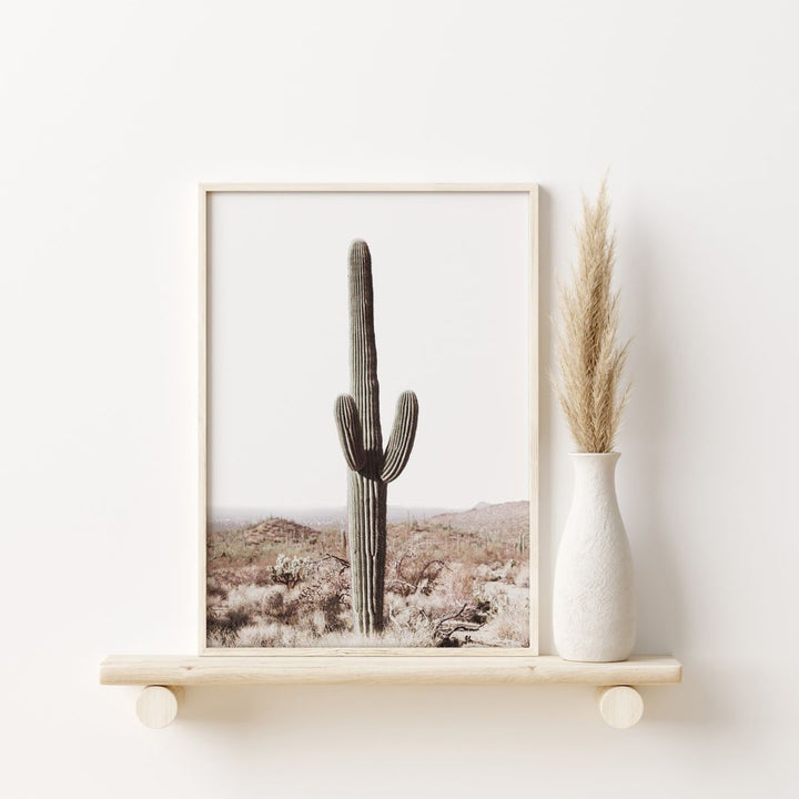 Saguaro Cactus