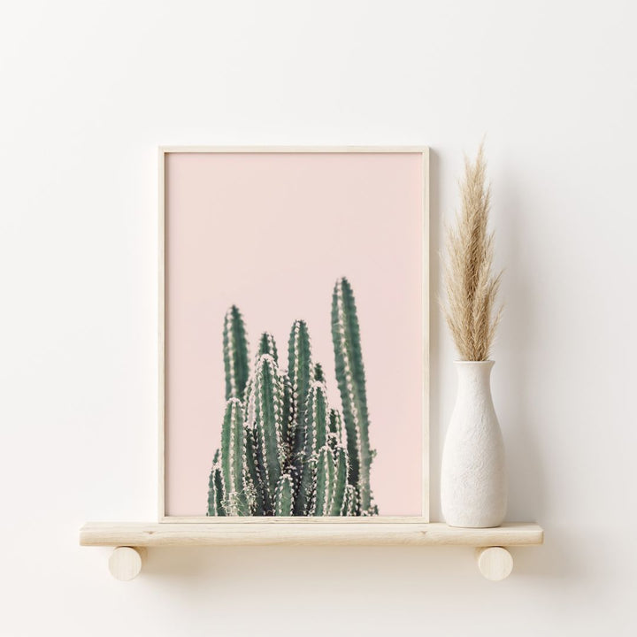 Cactus montant