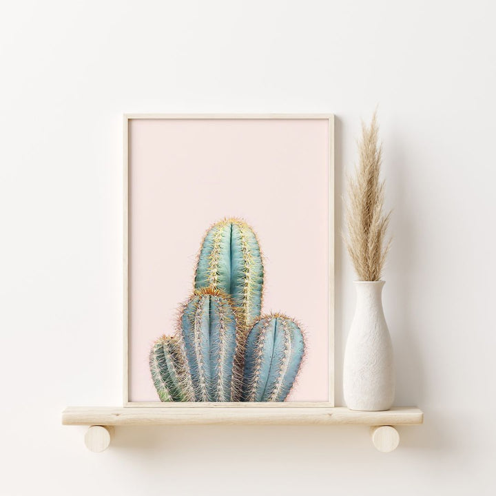 Rosé Cactus