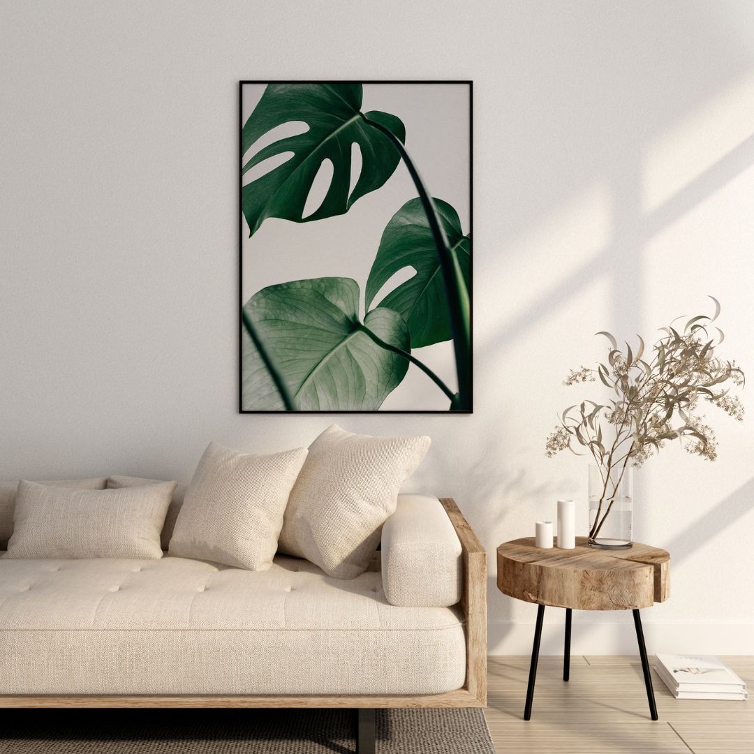 Tropical Monstera