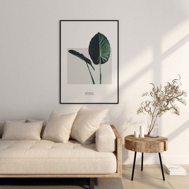 Alocasia Macrorrhizos