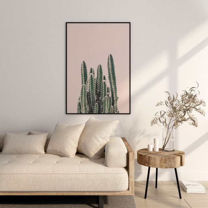 Cactus montant
