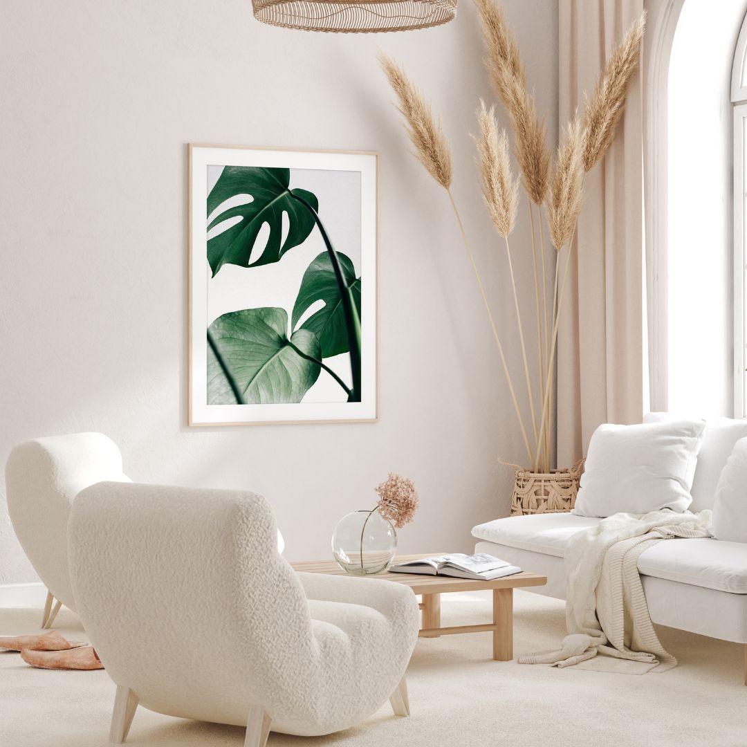 Tropical Monstera