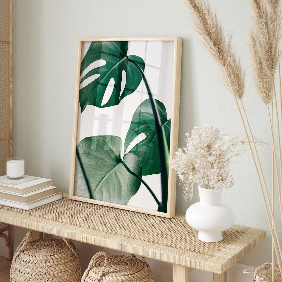 Tropical Monstera