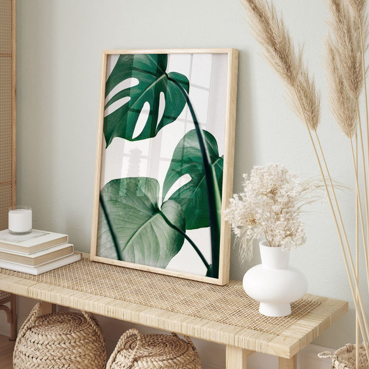 Tropical Monstera