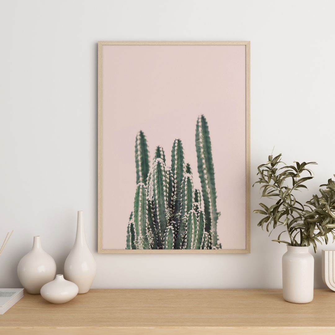Cactus montant
