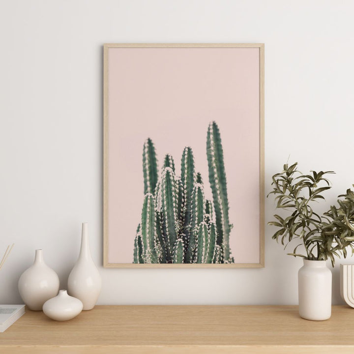 Cactus montant