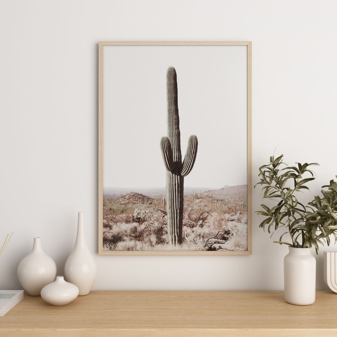 Saguaro Cactus