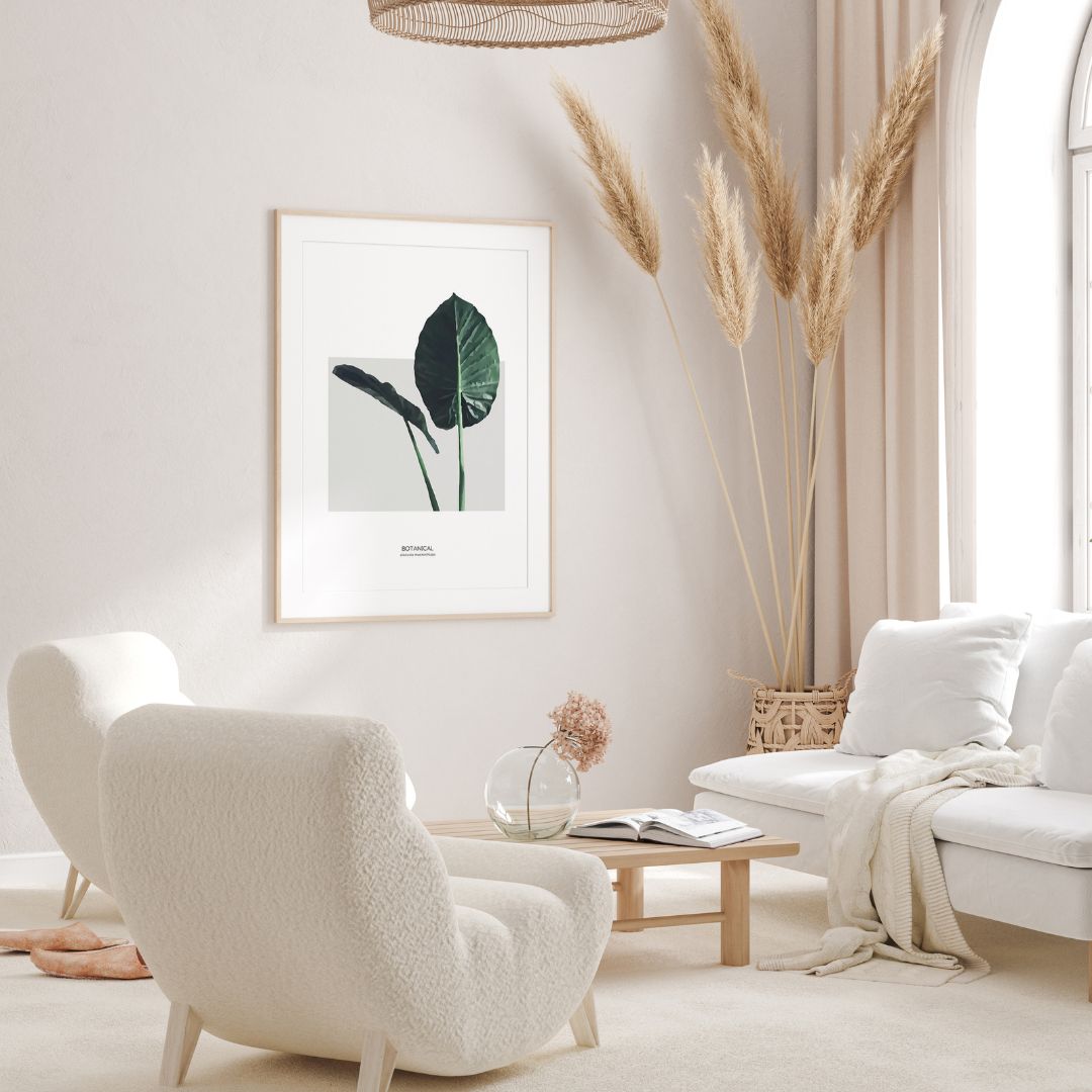 Alocasia Macrorrhizos