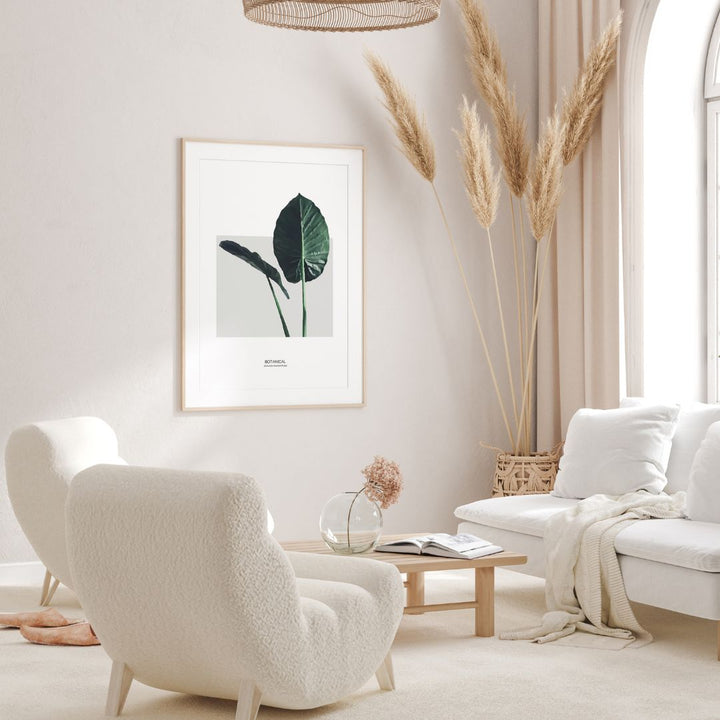 Alocasia Macrorrhizos