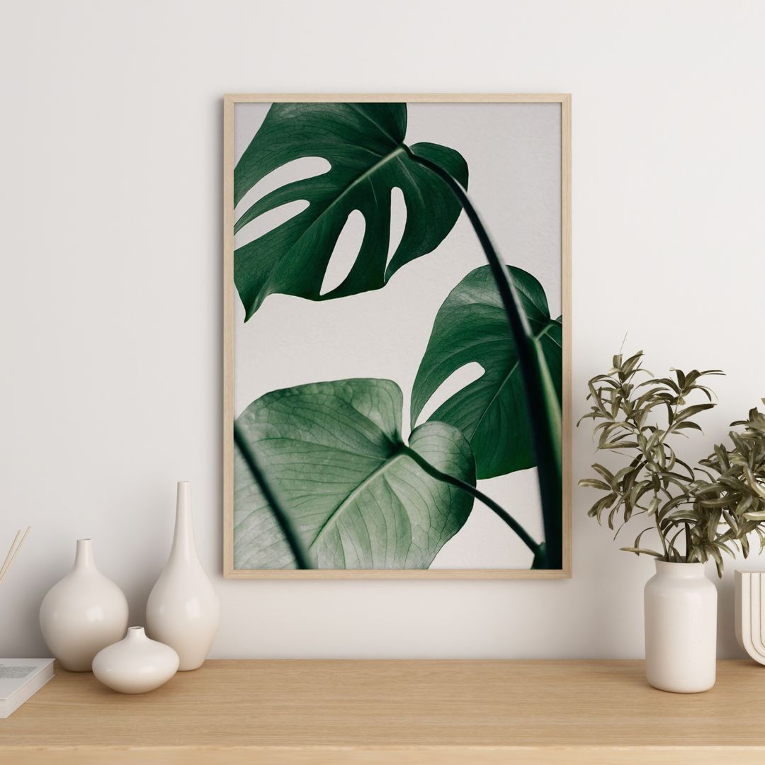 Tropical Monstera