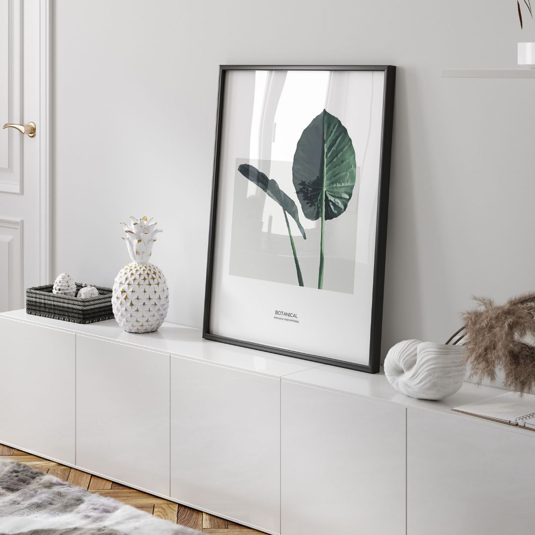 Alocasia Macrorrhizos