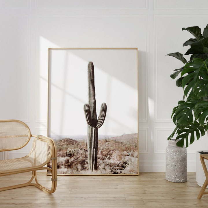 Saguaro Cactus