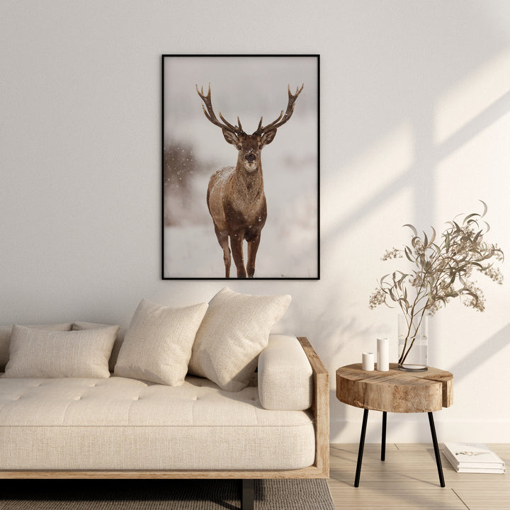 Northern Deer
