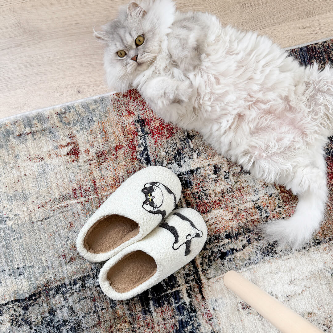 Soft indoor slippers with playful cat design