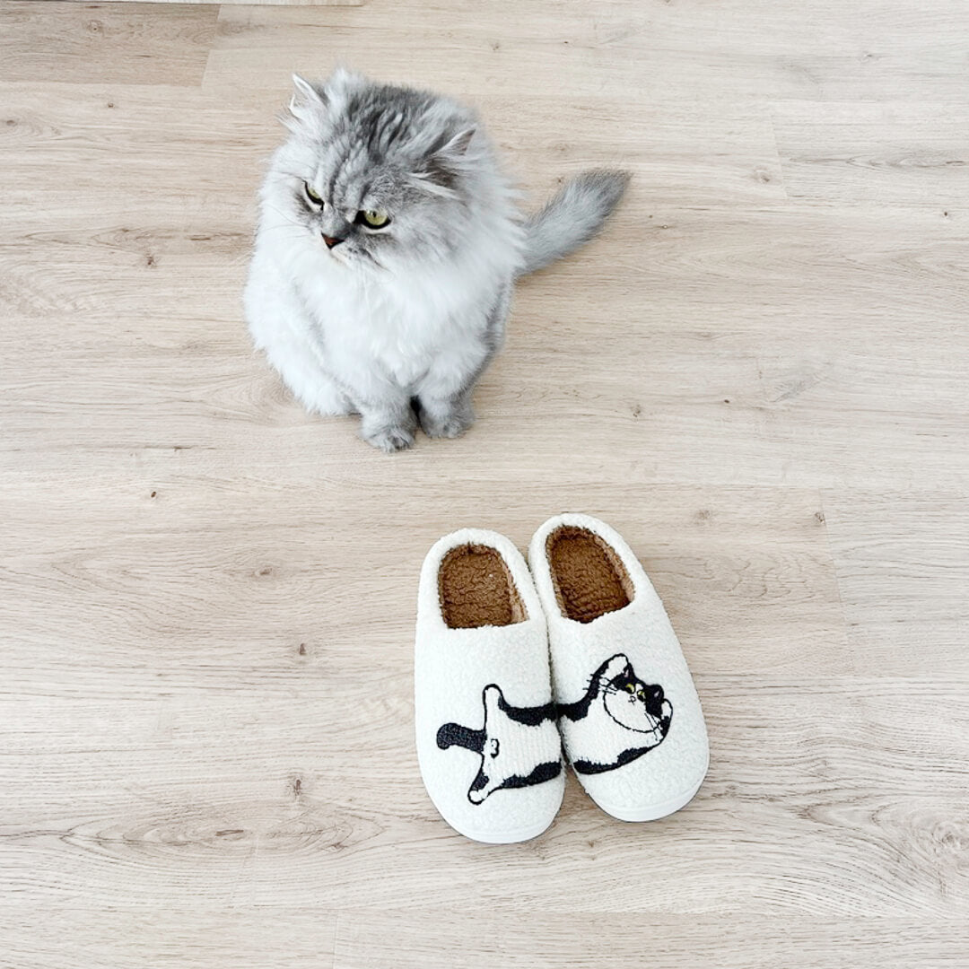 White fuzzy slippers with curled cat embroidery