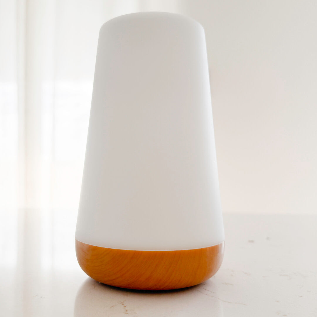 Modern ambient lamp with frosted white shade