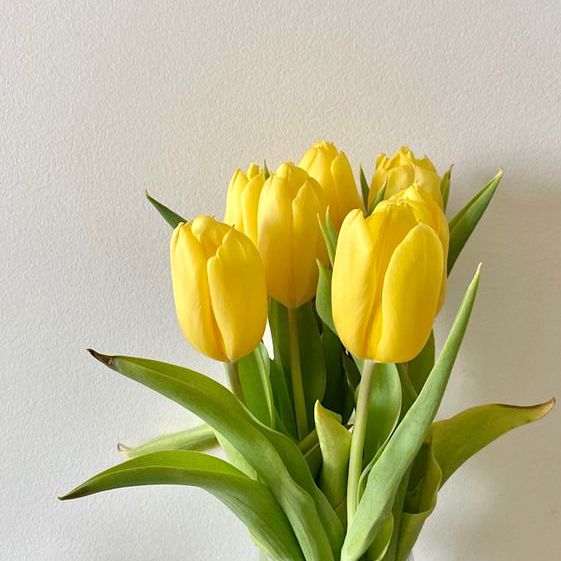 Lili Artificial Tulips