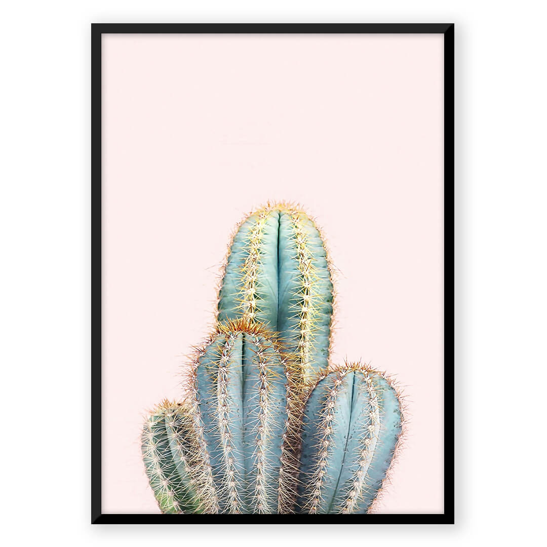 Rosé Cactus