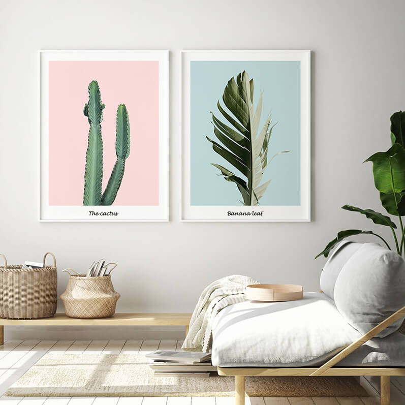 Pink Cactus - Nordic Peace